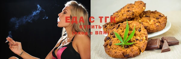 индика Дмитровск