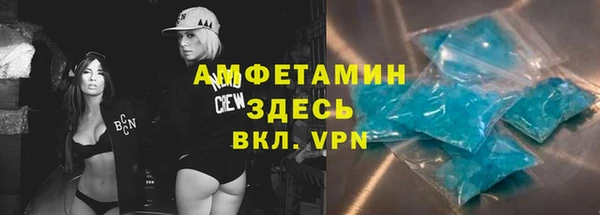 твердый Гусь-Хрустальный