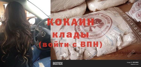 хмурый Дмитриев