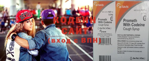 индика Дмитровск