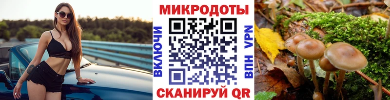 Псилоцибиновые грибы мухоморы это состав Ветлуга